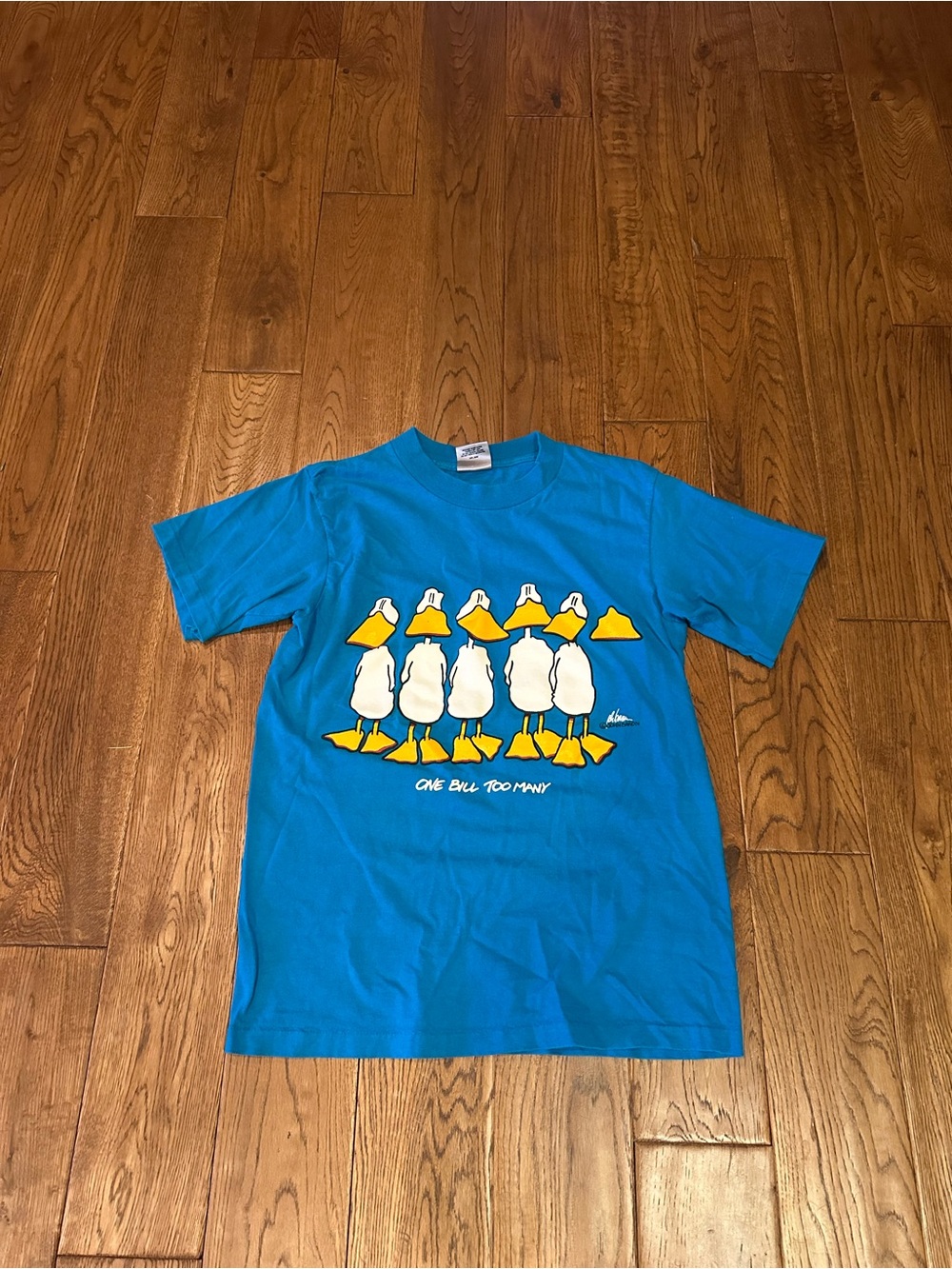 Made in usa single stitch vintage graphic tee